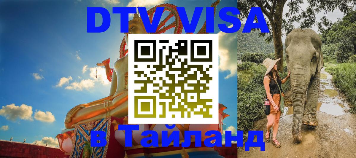 Оформление DTV визы под ключ: стоимость и тарифы, только загранпаспорт - 19.11.2025 